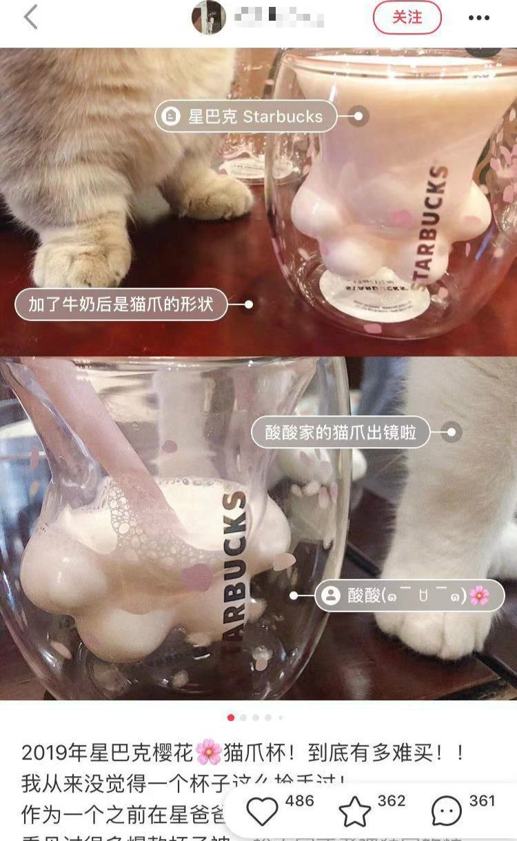星巴克猫爪杯深夜排队疯抢,星巴克猫爪杯被疯抢了