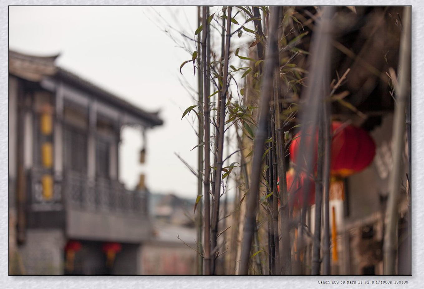 常州旅游东方盐湖城,骆驼之旅视频