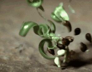 慢动作拍摄教程光遇,慢动作拍摄教程完整版