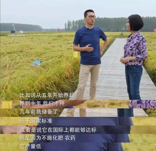 林青霞东方教主千秋万代一统江湖,林青霞与刘嘉玲现状