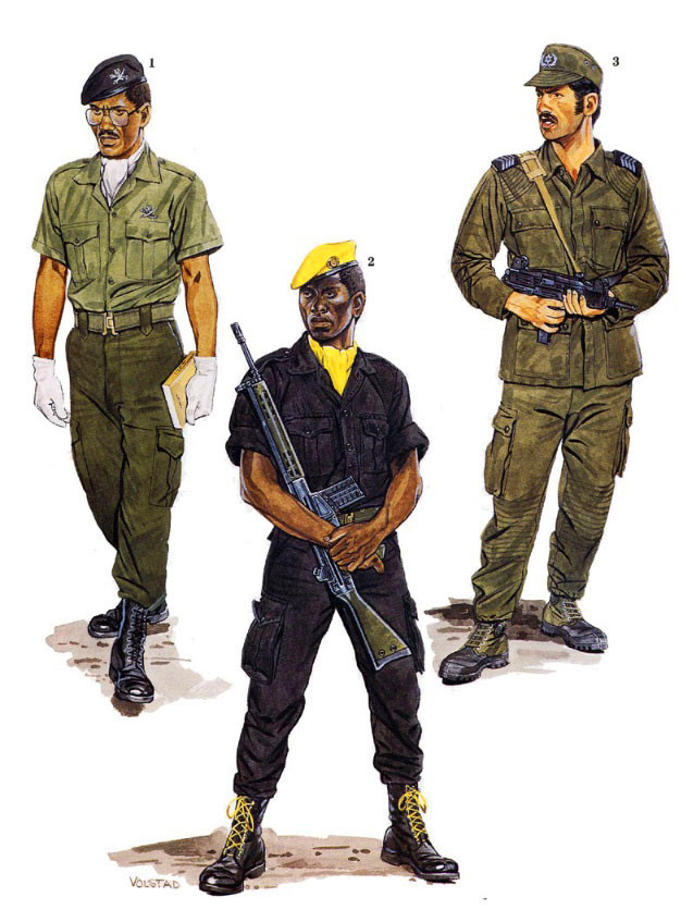 非洲解放战争，葡萄牙、安哥拉和莫桑比克军服图册