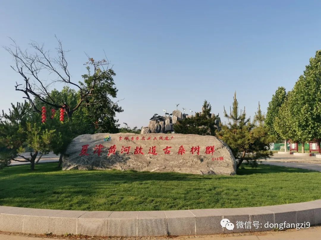 夏津东方紫桑文化博物馆暨酒庄项目举行奠基仪式