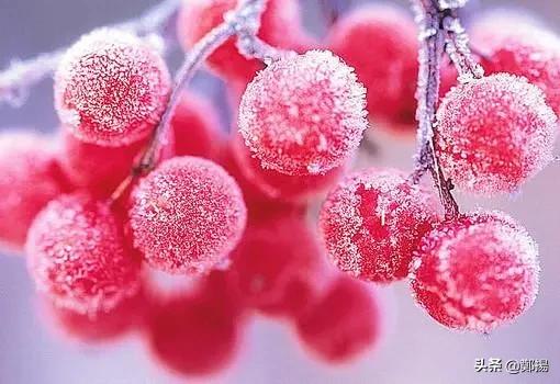 适合发朋友圈感悟情感短句子说说,励志情感语录句句唯美文艺