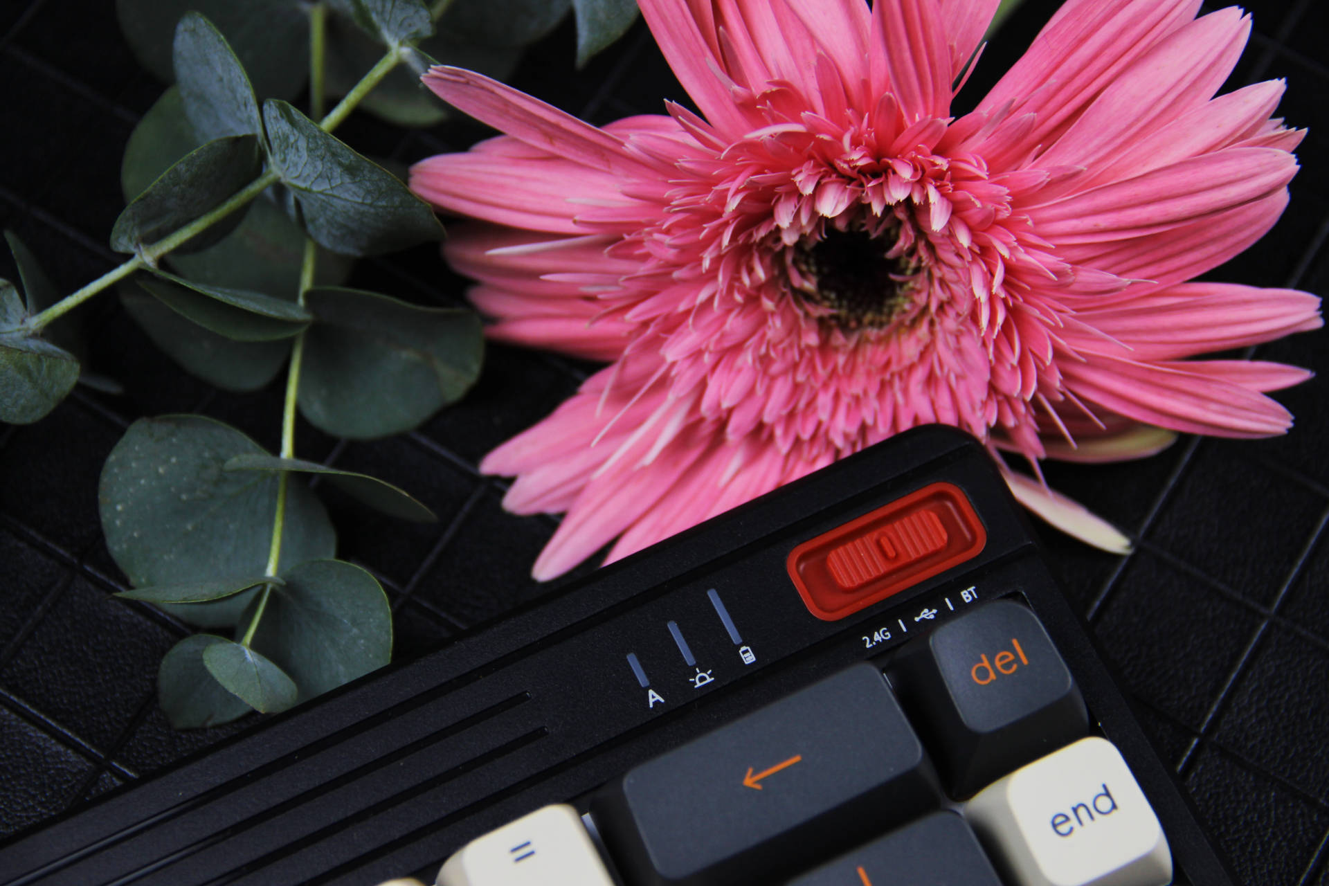 买小键盘还是标准键盘,69键键盘排行榜