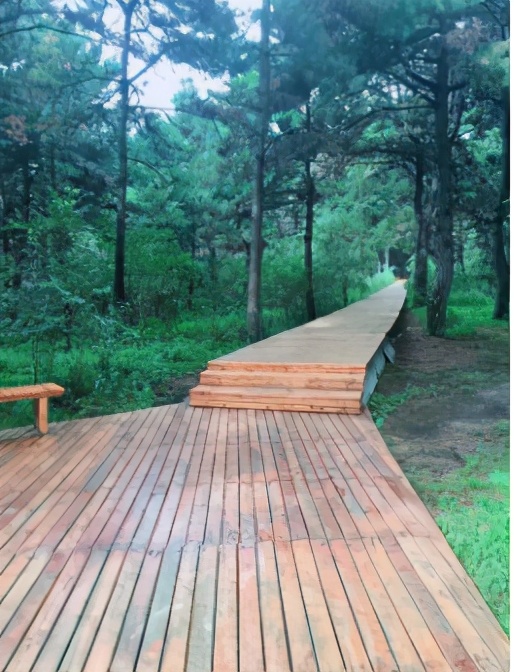 今起东北虎园大门票半价!近百种珍稀动物,带你走进现实版动物世界!