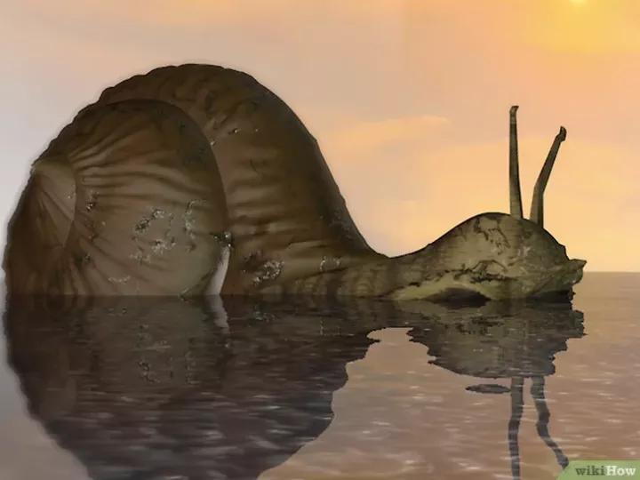 怎么养蜗牛宠物,怎么养野生蜗牛做宠物