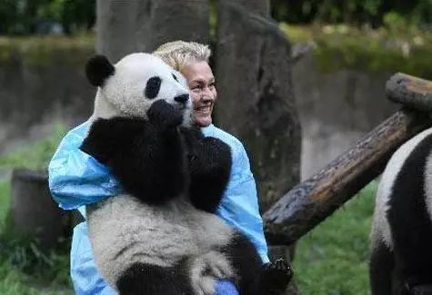 外国人到底有多喜欢熊猫啊,外国人真的很爱熊猫吗