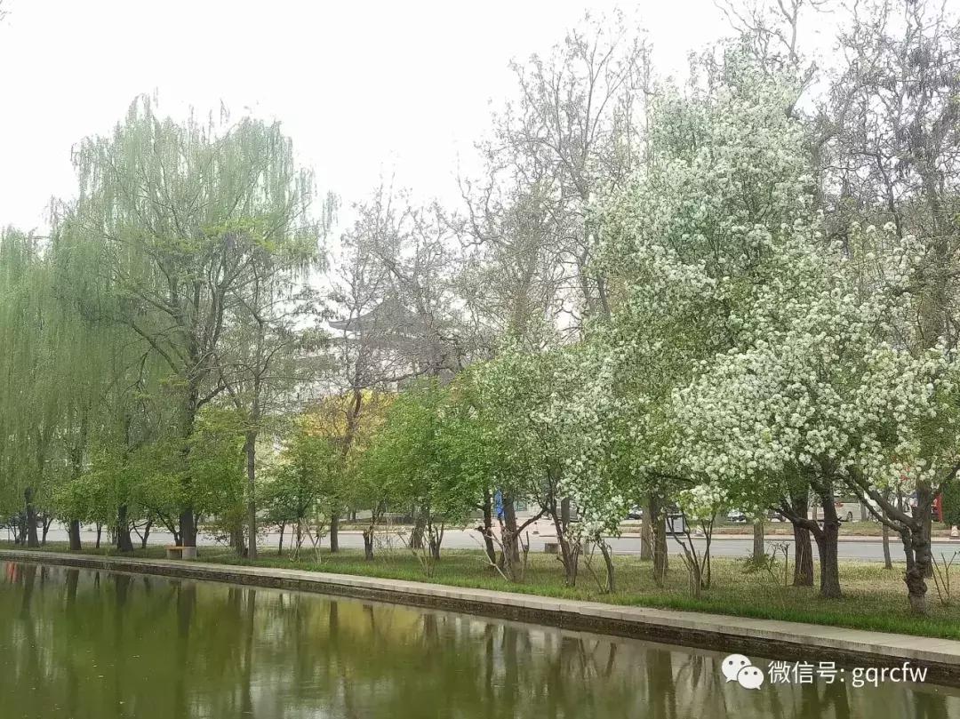 国庆人才服务,国庆最新招聘信息