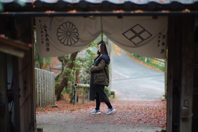 京都赏枫2022,京都赏枫必去景点有哪些好玩的