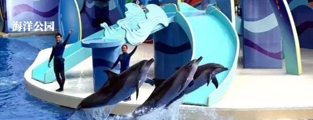 4月去香港还要通行证吗,4月份去香港还要健康申报吗