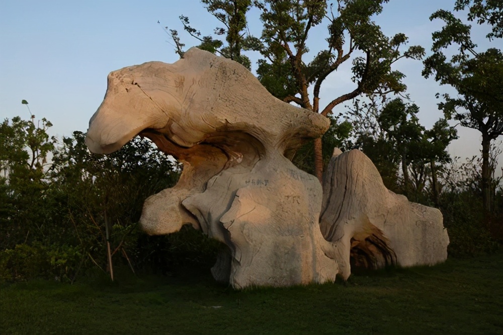 崇明岛西沙湿地公园视频,崇明西沙湿地公园芦苇荡