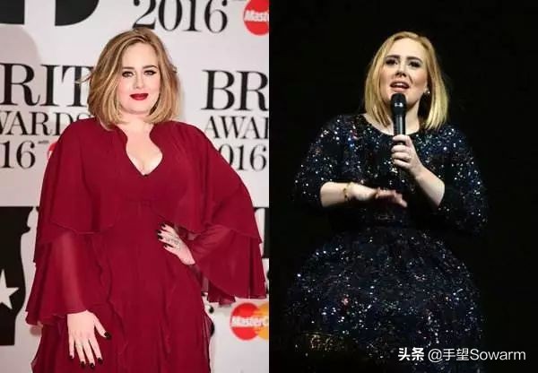 为时尚界奉献了70年的香奈儿凯撒大帝遗产竟只留给猫?