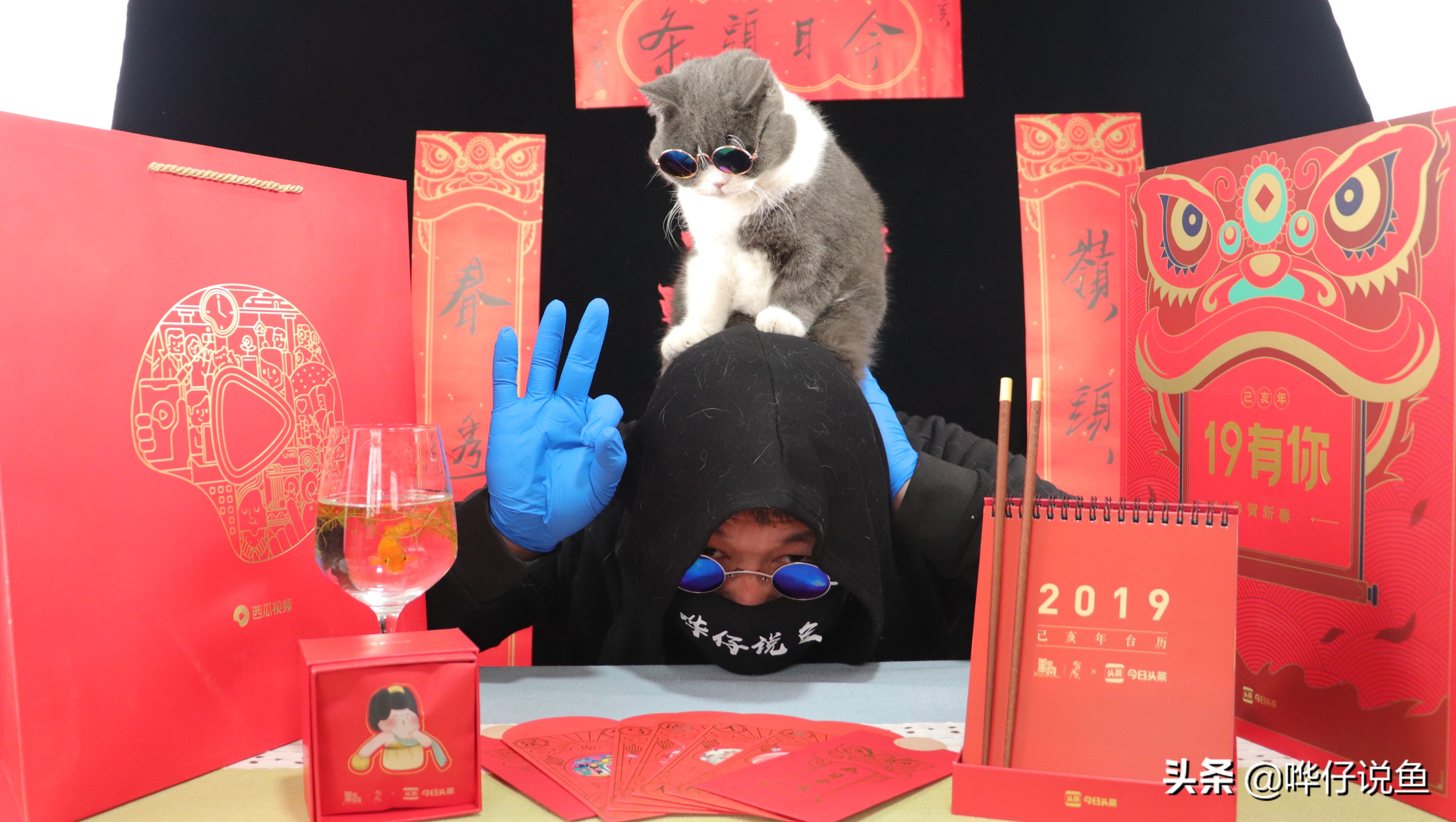 养观赏鱼算积德吗,养观赏鱼能赚钱吗