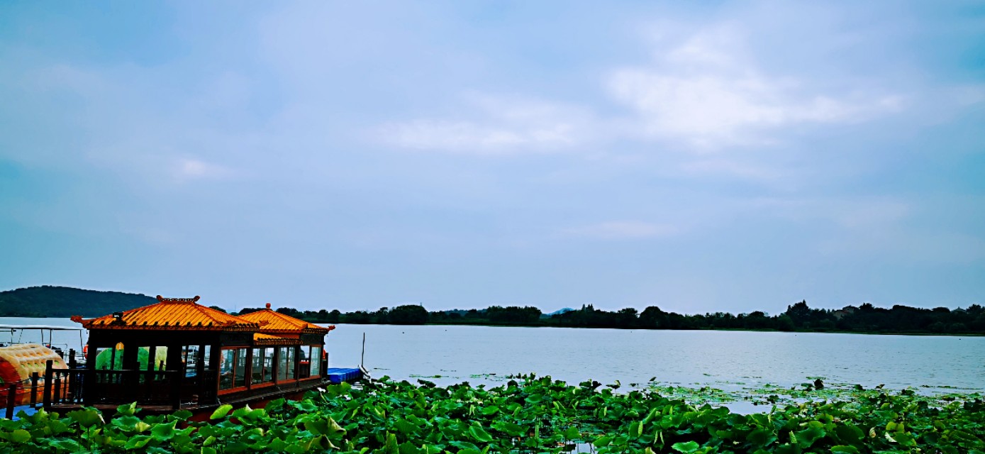 后官湖湿地公园环游,后官湖湿地公园游后感