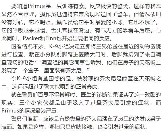 缉毒犬会染上毒瘾吗视频讲解,缉毒犬闻毒品味道会闻上瘾么