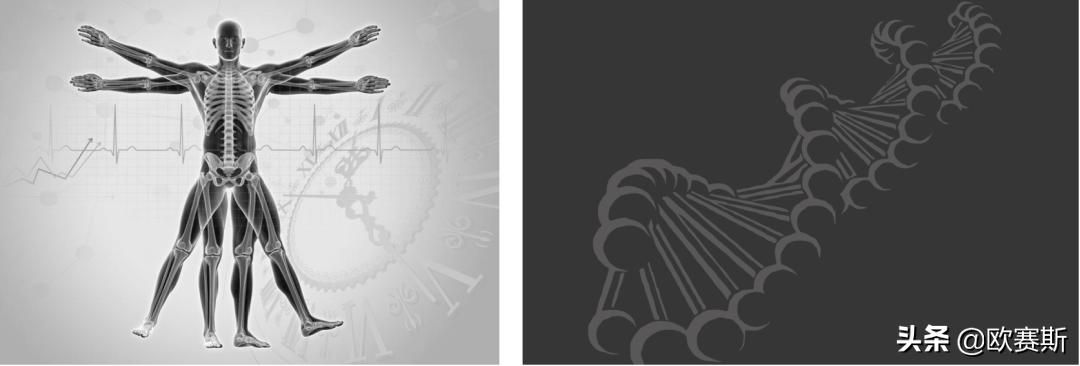 品牌代言人成功案例,品牌代言人选择策略