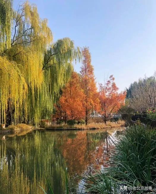 现在的积水潭,下一站西直门