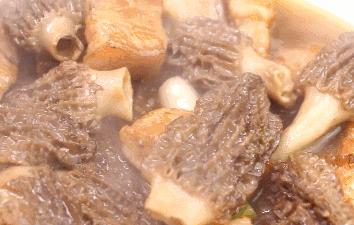 野生羊肚菌味美又养生,人工种植的羊肚菌怎么做好吃