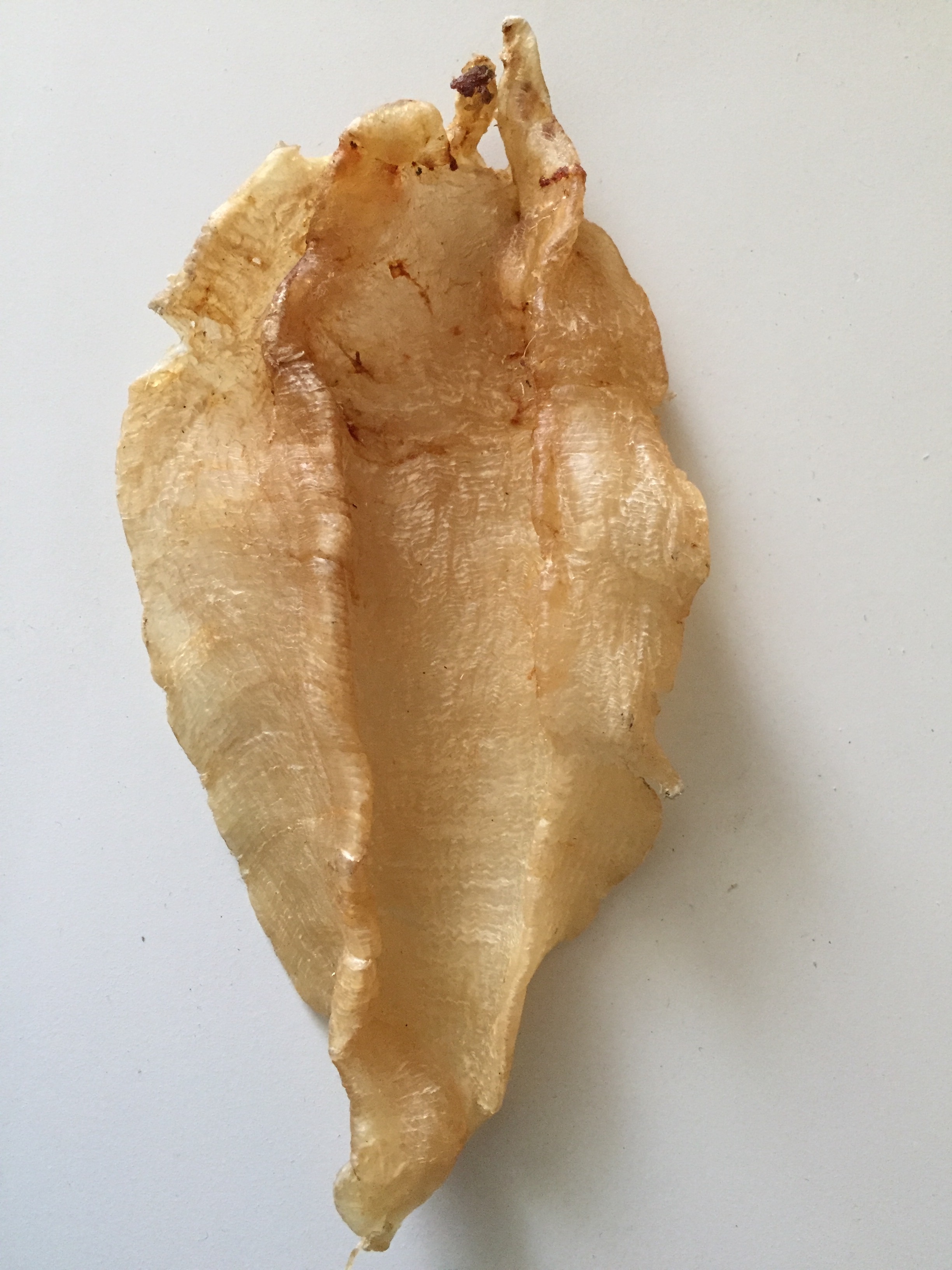 聊一聊哪些好物是你会无限回购的,让我颠覆了对花胶的认知