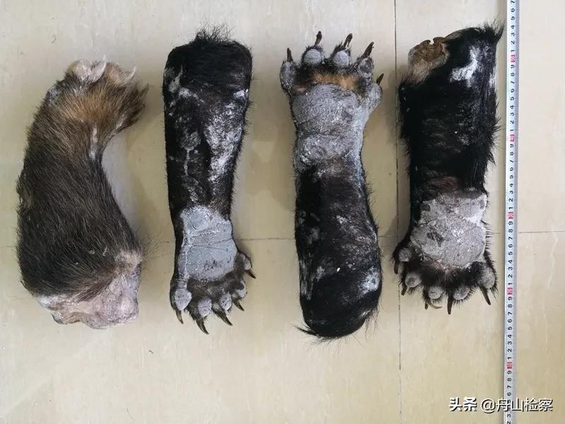 非法收购野生保护动物,非法收购野生陆生动物罪