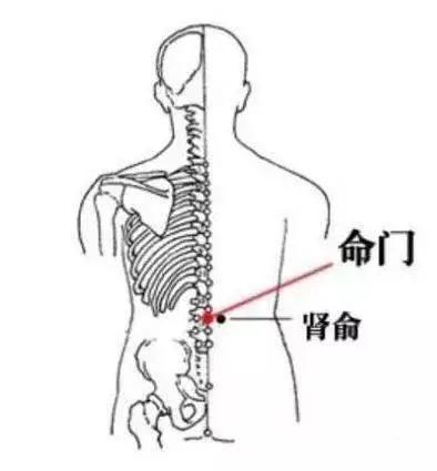 祛除身体湿气最好的方法是什么,身体有湿气用什么方法能除根