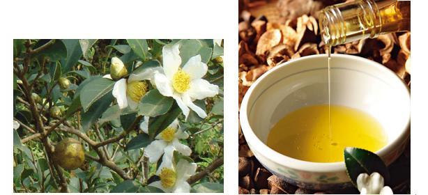 有胃病吃不下东西要吃什么,胃病吃什么菜对胃好