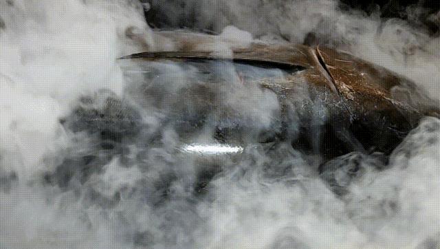 长春蓝鳍金枪鱼,长春鳌虾刺身