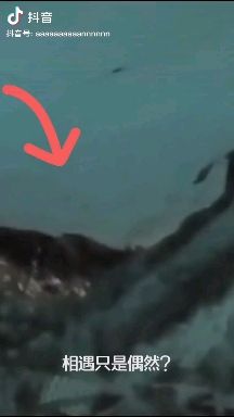 转载知乎后续,转载至知乎什么意思