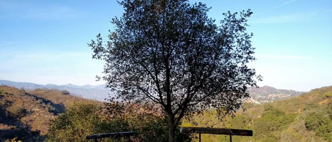 北美十大徒步路线,洛杉矶徒步