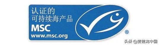 美厨课堂炎炎夏日,美厨课堂点心