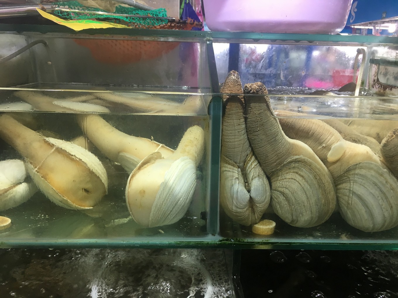 三亚旅游吃海鲜防宰攻略,三亚蜈支洲岛吃海鲜攻略