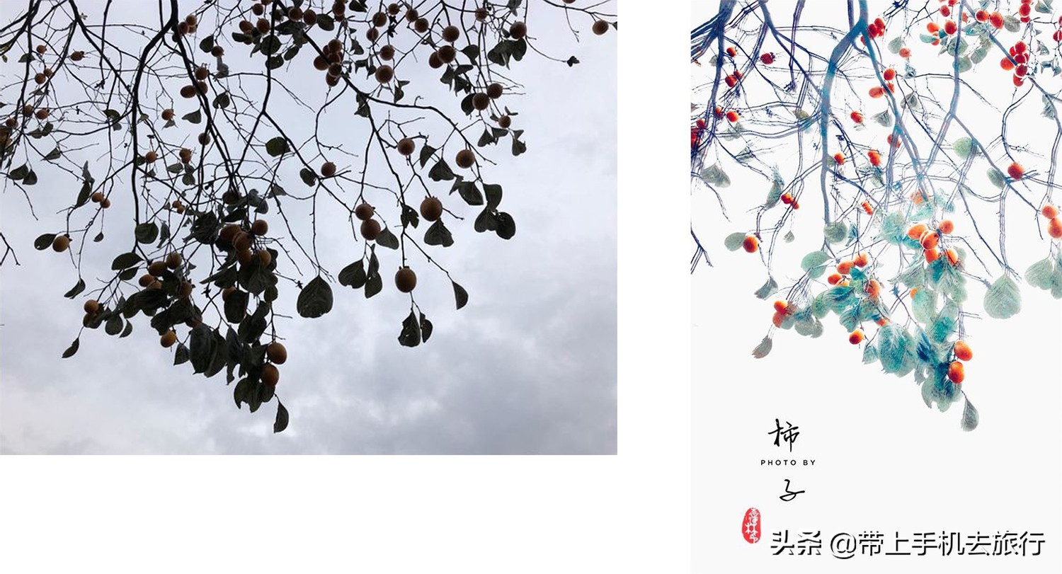 “减法”、虚化和“加法”,让画面瞬间干净简洁唯美