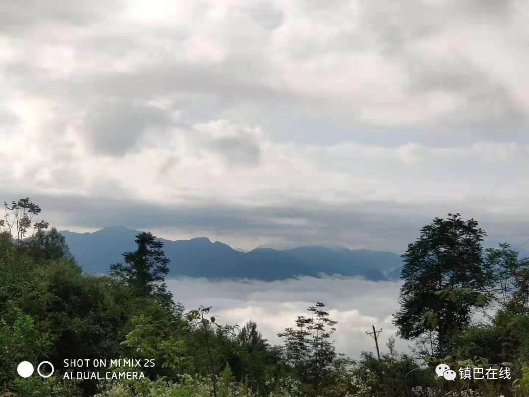 镇巴木竹林风景区,镇巴云雾山风景区
