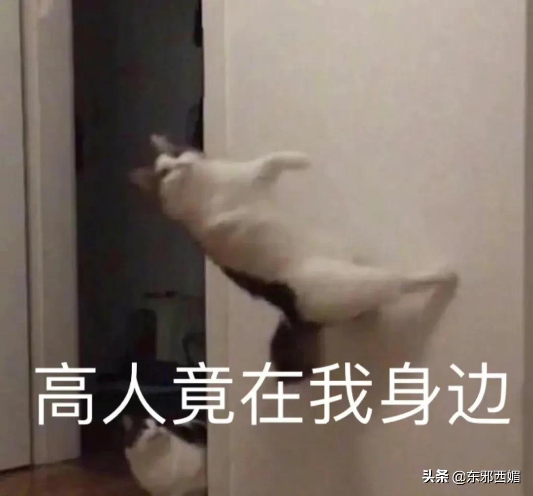 脚踏三只船男人的下场,脚踏三只船的男人骗钱