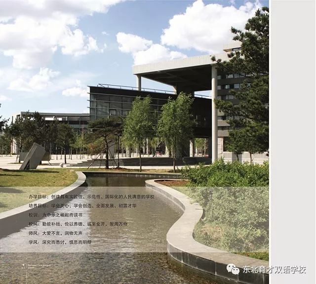 东北育才双语高中2019年升学状况,东北育才双语学校光荣榜