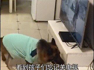 妈妈训孩子狗子护孩子,家长教育孩子对待宠物