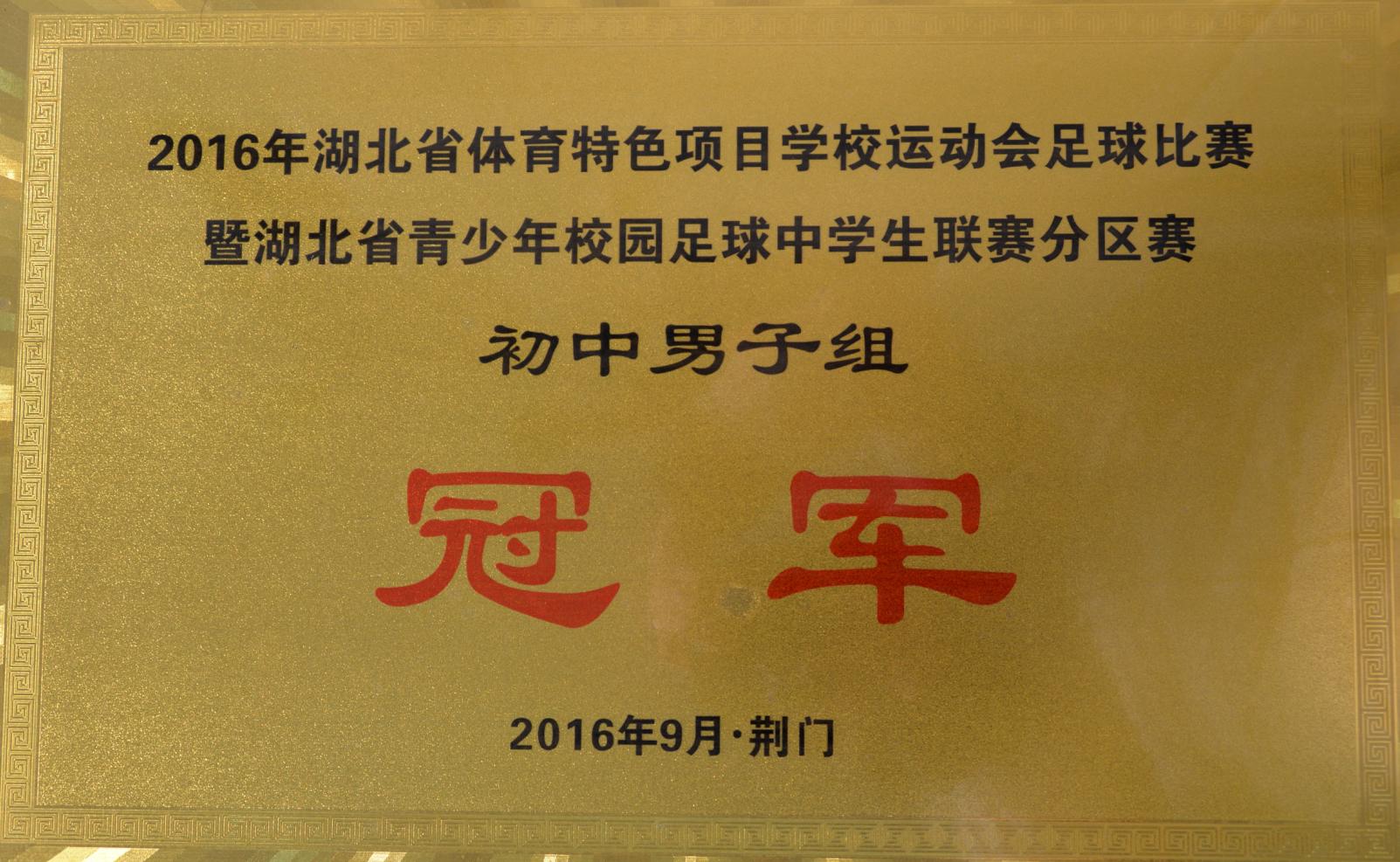 2019江汉校园足球,湖北高校足球最厉害大学球队