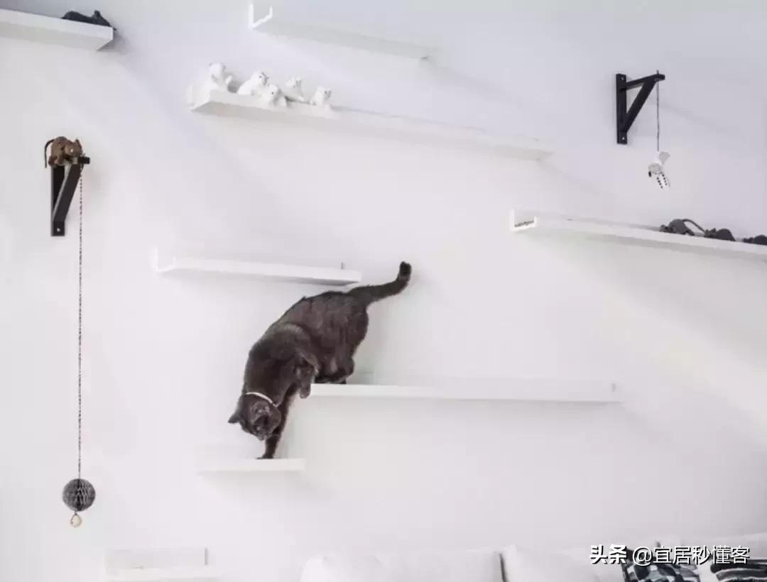 宜家开酒店免费入住,宜家开业前可以逛吗