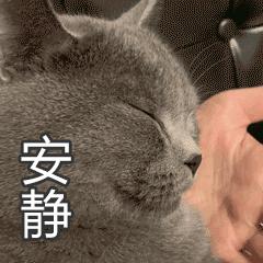 乡村是一种回忆,乡村是很多人心里的根