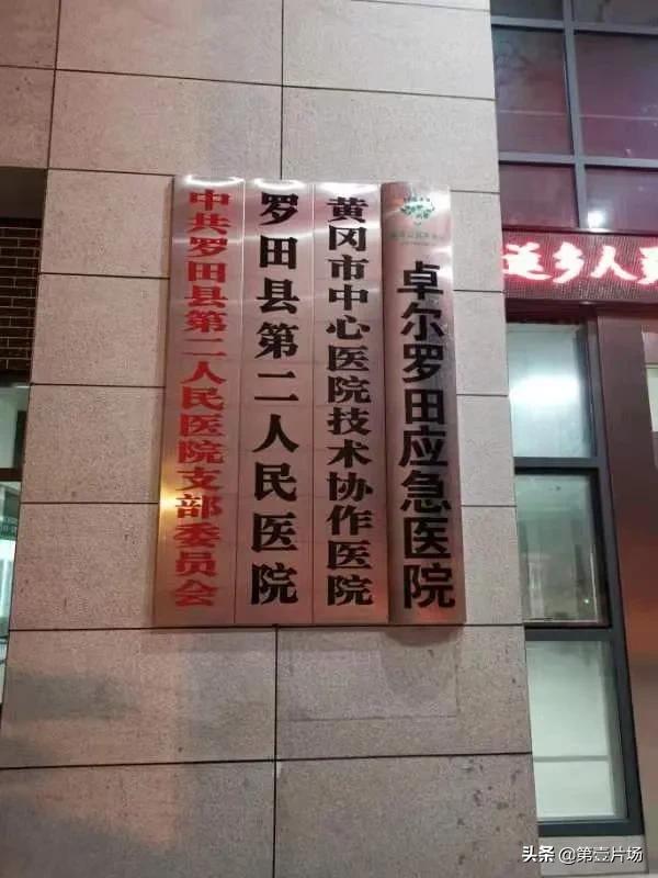 湖北首富前十名分别是哪里人,湖北首富阎志总捐了100亿