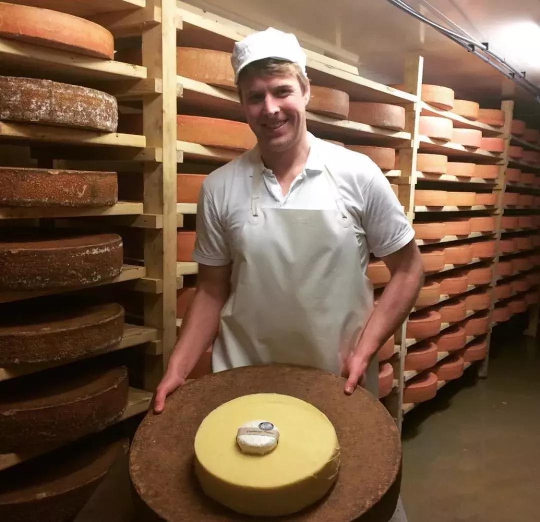 用哪款奶酪做蛋糕最好,做面包用哪款奶油奶酪