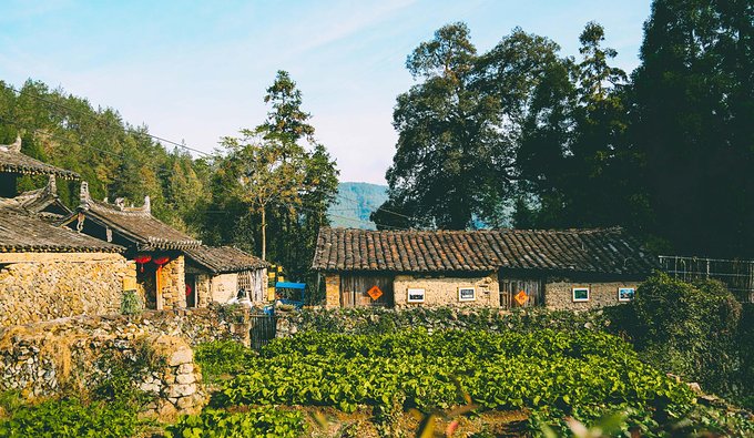 一起游玩泰顺,小众旅游泰顺