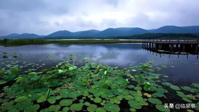 最新安徽61县市经济实力排行榜！临泉排名前列！