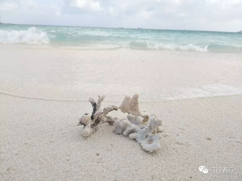 漂洋过海只为遇见你西沙攻略,西沙探秘游记大攻略