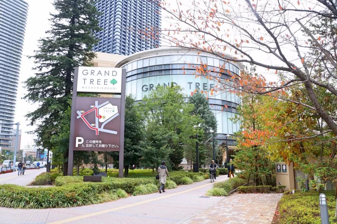 大连万达中心,万达m区装修