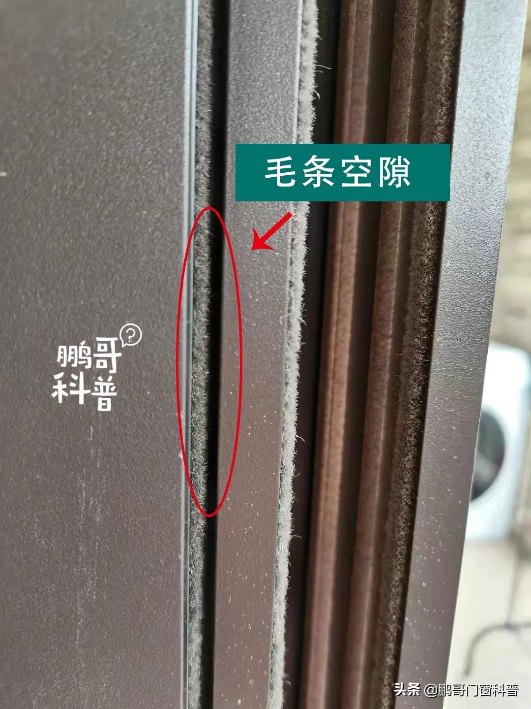 门窗密封毛条图片大全,门窗密封毛条怎么更换