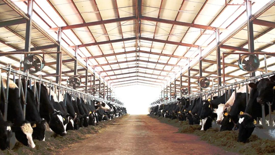 绿健酸奶徐州,绿健乳业邳州分公司