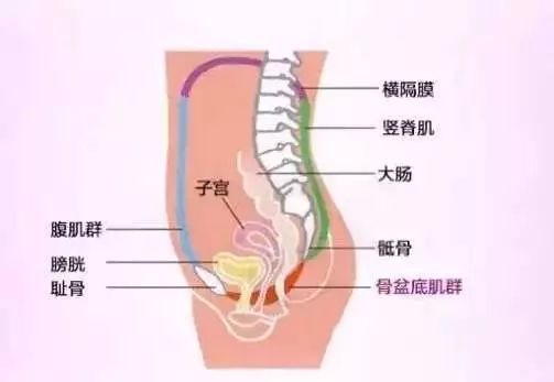 产后夫妻关系不和谐怎么办,产后夫妻关系不好怎么回事