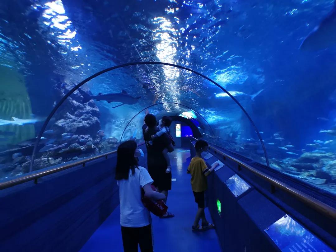 厦门周边适合亲子游的最佳地方,适合1-4岁亲子游的地方厦门