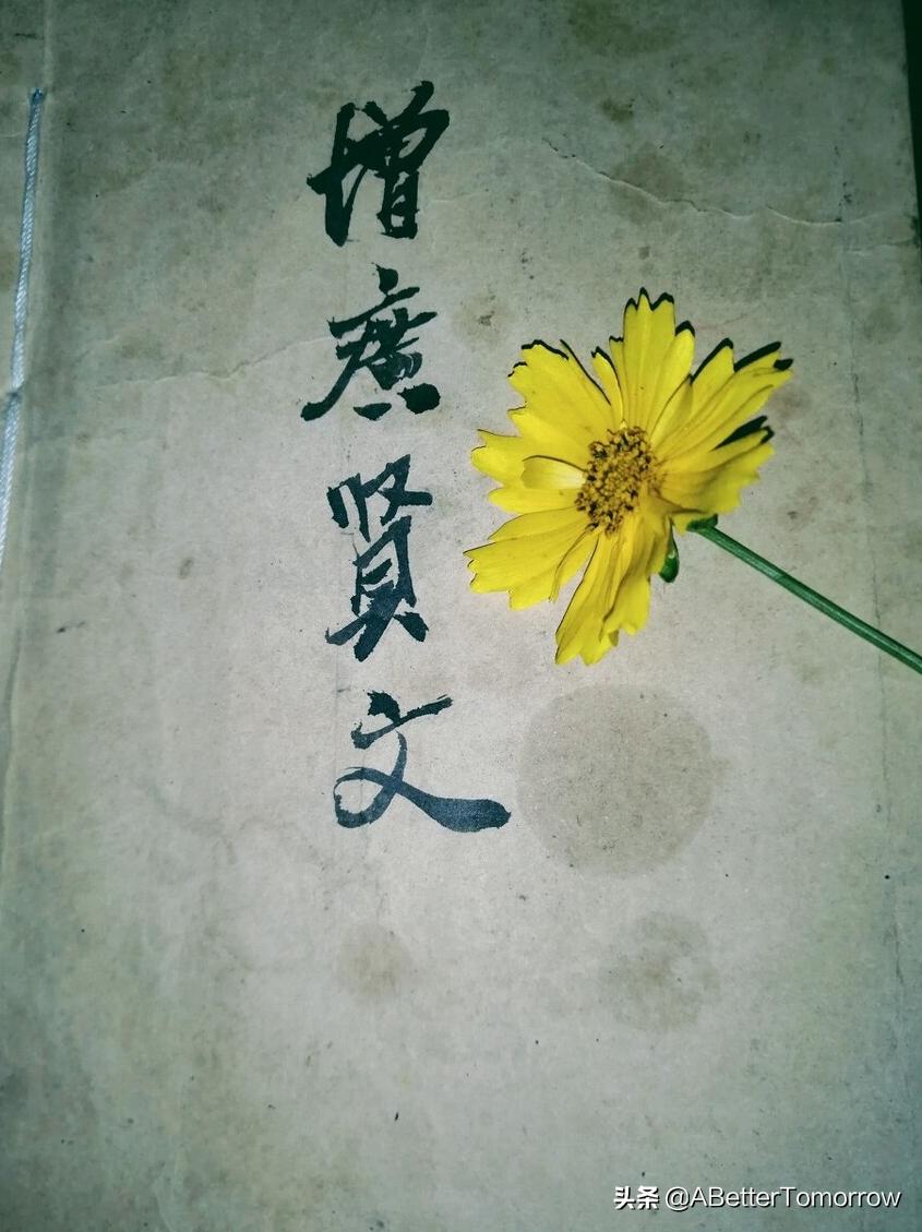 古人留下的精神食粮增广贤文,增广贤文500句文字完整版